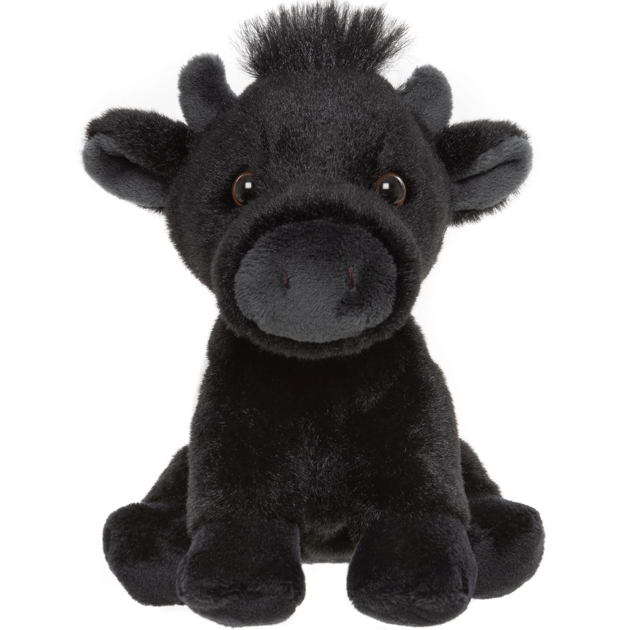 Belted Cow