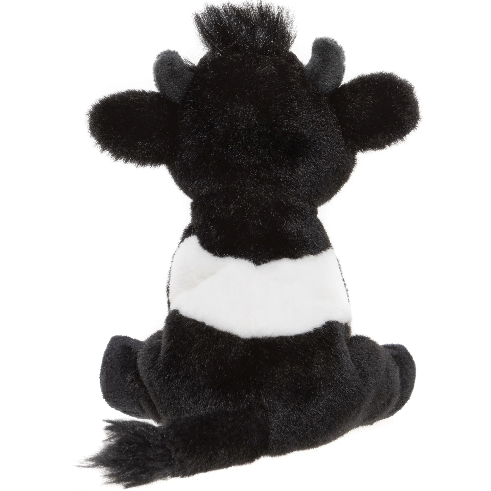 Belted Cow - Image 3