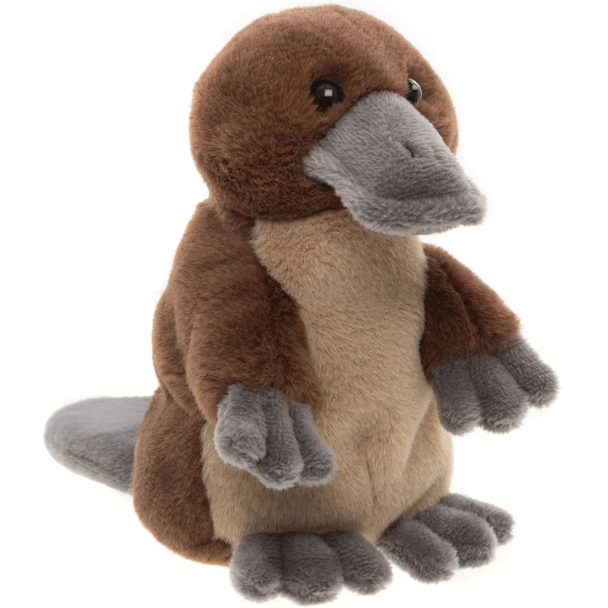 Duck Billed Platypus - Image 2