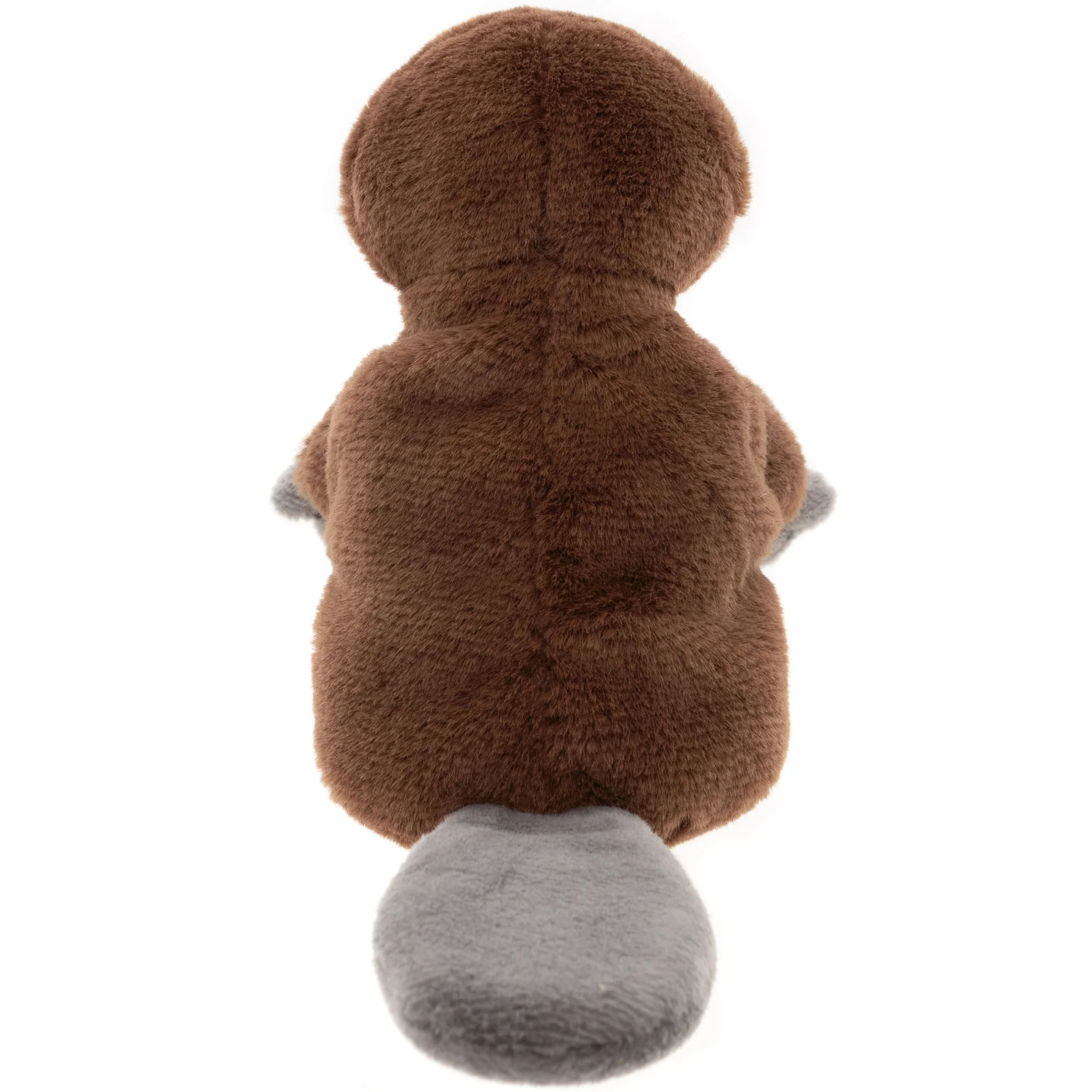 Duck Billed Platypus - Image 3
