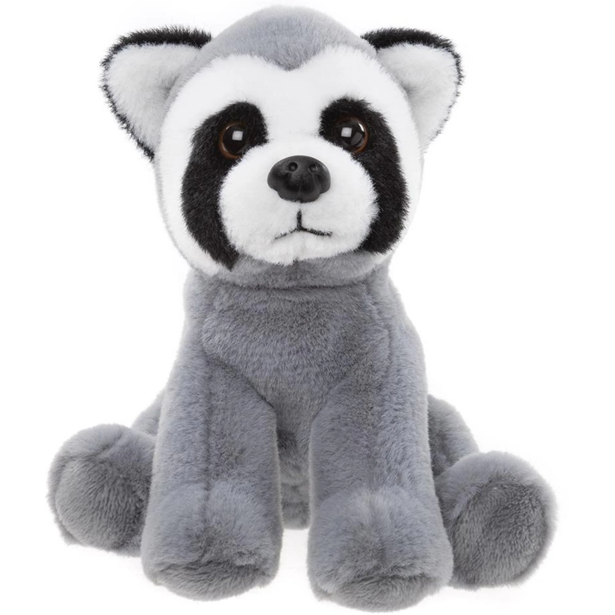 Raccoon