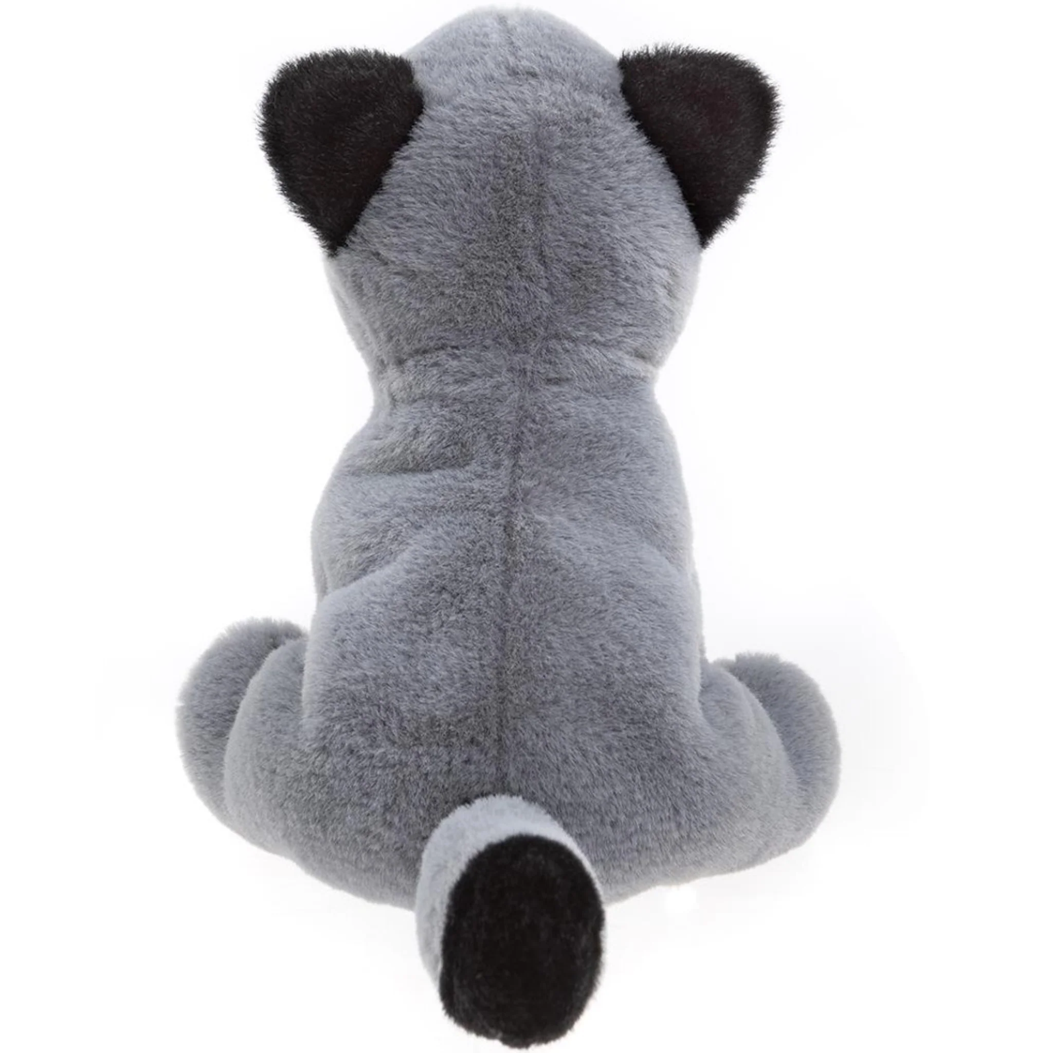 Raccoon - Image 3