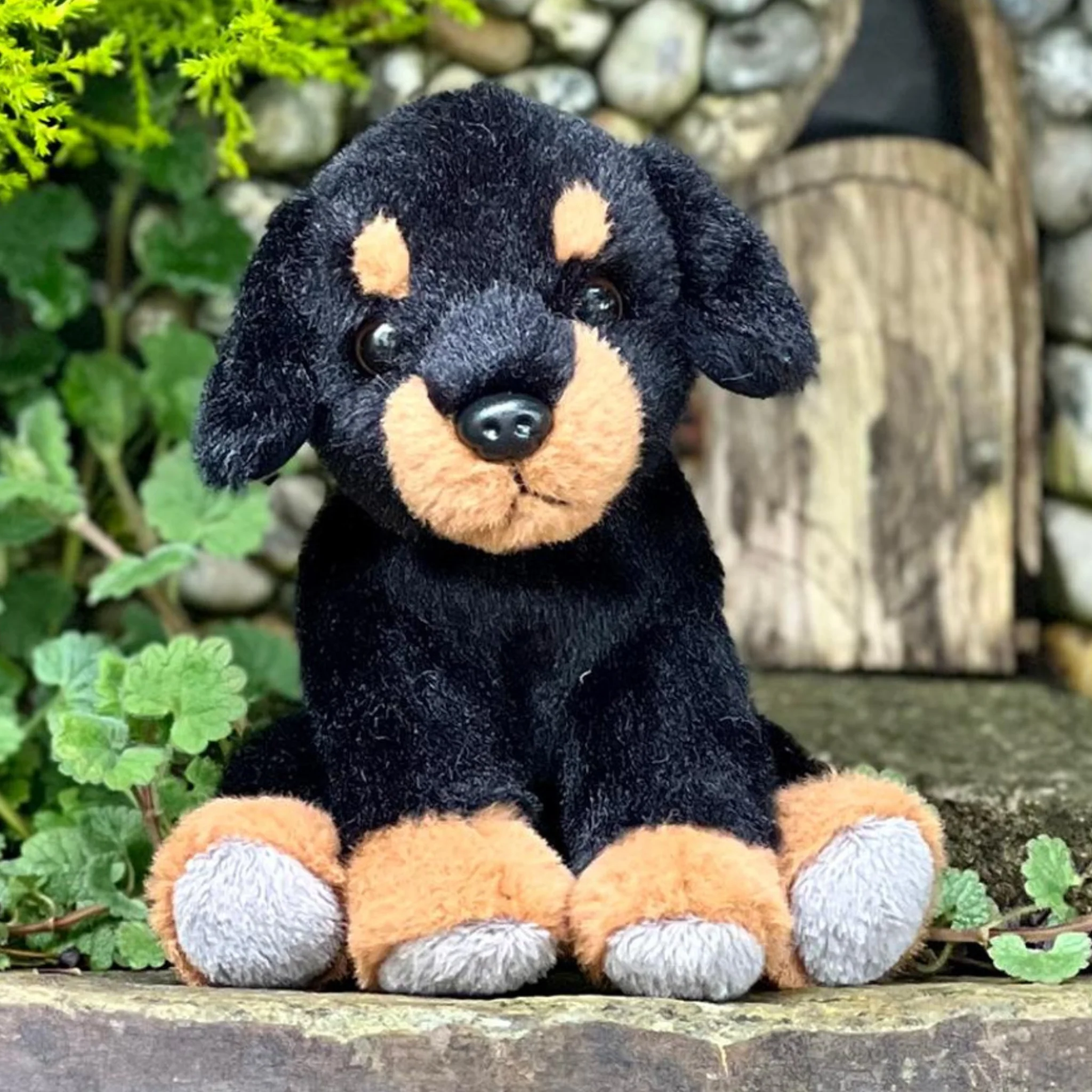 Rottie Dog - Image 2