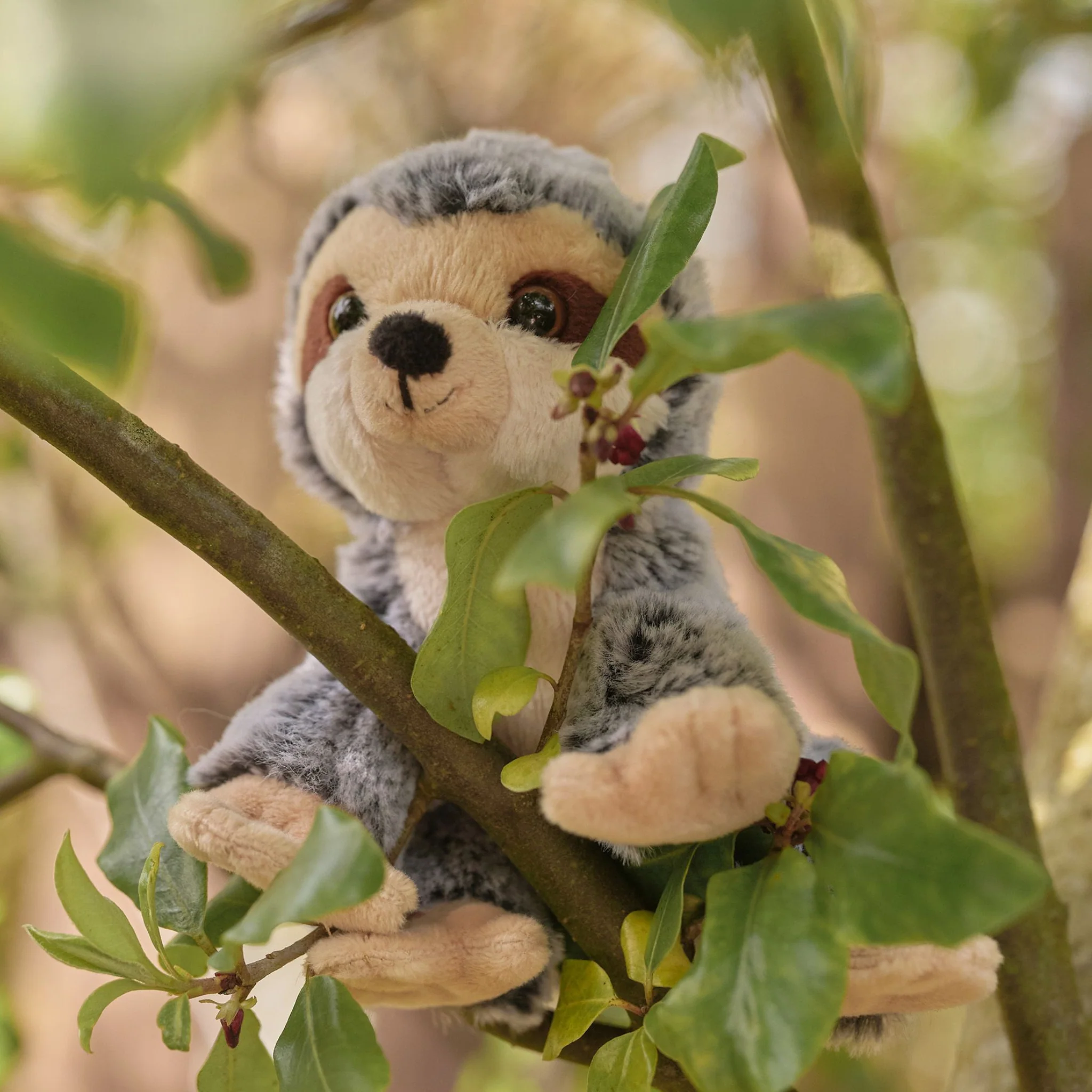 Sloth - Image 4