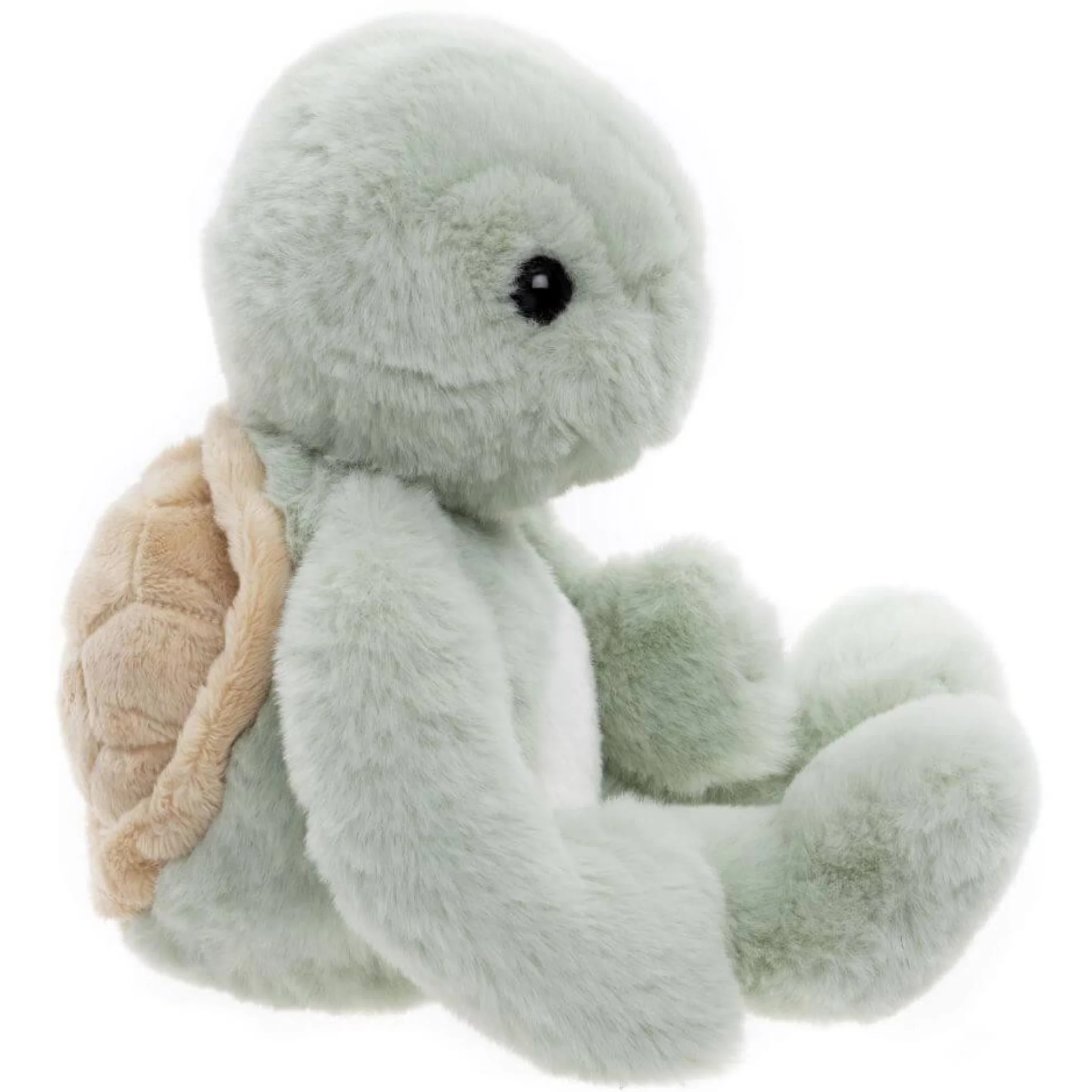 Timmy Tortoise - Image 2